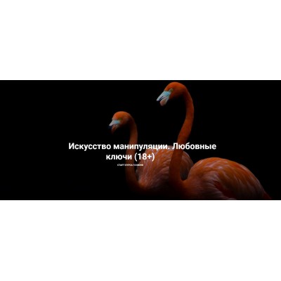 Искусство манипуляции. Любовные ключи 18+. Рада Русских, Ольга Чебыкина, Школа Интервью Бу-Бу-Бу