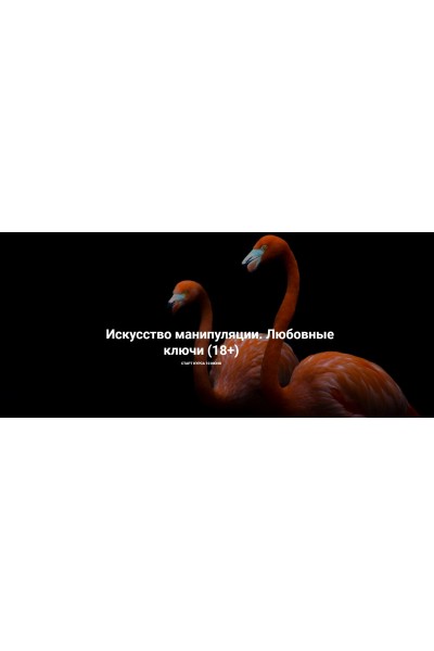 Искусство манипуляции. Любовные ключи 18+. Рада Русских, Ольга Чебыкина, Школа Интервью Бу-Бу-Бу