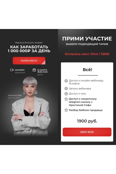 Как заработать миллион за день. Кристина Софи