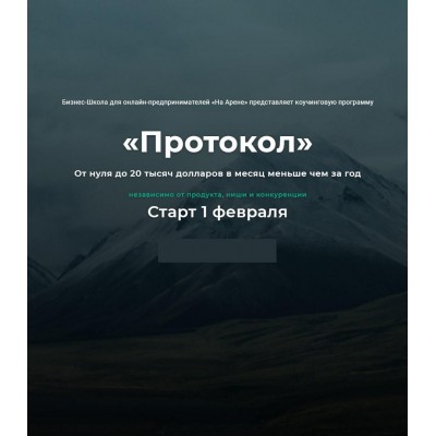 Протокол Февраль 2021. Михаил Саидов, На Арене