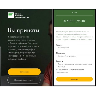 Вы приняты. Фёдор Борщёв, Дмитрий Рожков, Школа сильных программистов