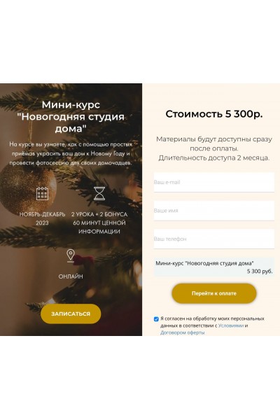 Новогодняя студия дома. Яна Савина