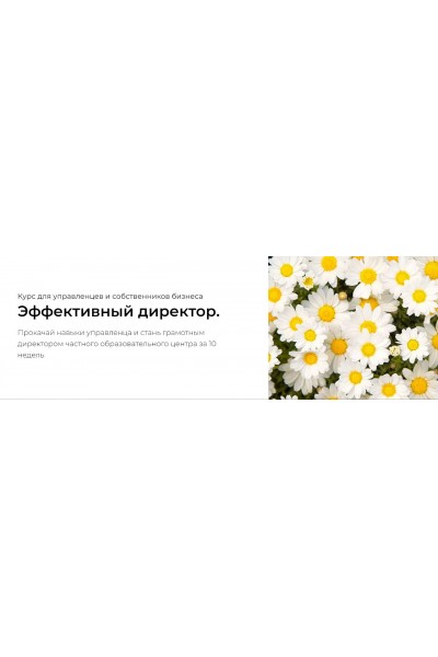 Эффективный директор. Тариф Профи. Наталья Батиг