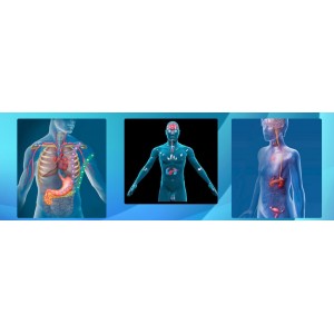  Эндокринная система. Тариф Стандарт. Юджиния Квант