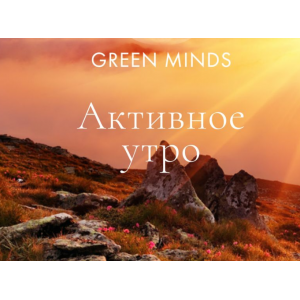 Нейромедитация GREEN MINDS Активное утро. Алексей Ситников