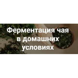 Ферментация чая в домашних условиях. Юрий Курский