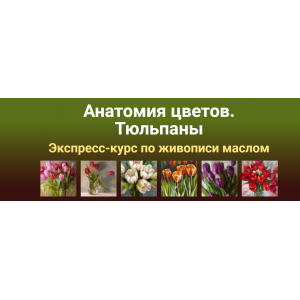 Анатомия цветов. Тюльпаны Масло. Татьяна Зубова ZartSchool