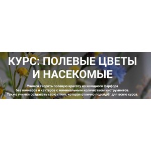 Полевые цветы и насекомые. Тариф Расширенный. Любовь Мирошниченко Liubov Miro Clay School