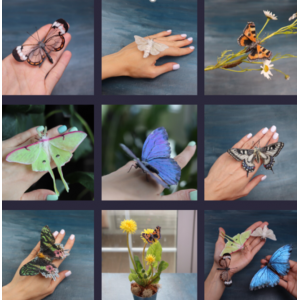 Бабочки и Мотыльки. Тариф Расширенный. Любовь Мирошниченко La Florterra Бабочки и Мотыльки. Тариф Расширенный. Любовь Мирошниченко La Florterra