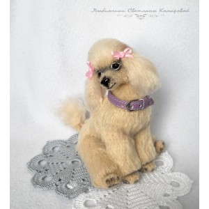 Ника пудель. Светлана Комарова