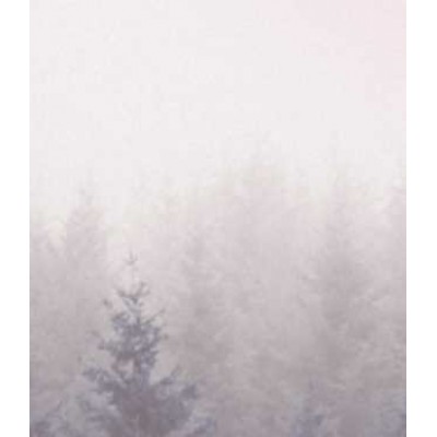 Коррекция опорно-двигательной и висцеральной систем. Юрий Чикуров