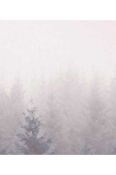 Коррекция опорно-двигательной и висцеральной систем. Юрий Чикуров