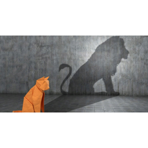 Онлайн-консультация «Какой есть: где грань между принятием себя и саморазвитием». Михаил Лабковский