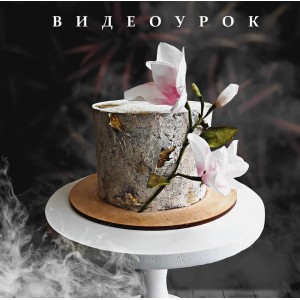 Видеоурок "Текстуры". Наринэ Шахраманян