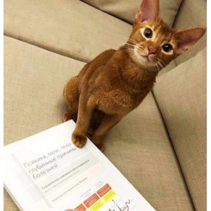 Справочник клинического психолога.Психика, мозг, тело: глубинные причины болезней. Олег Матвеев