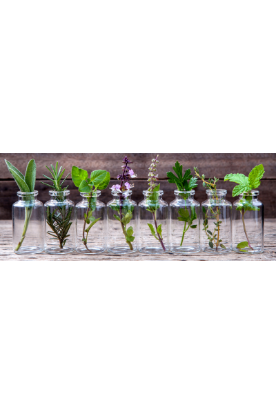 Мир ароматов - часть 2 (курс Натуральная парфюмерия). Анна Семенова