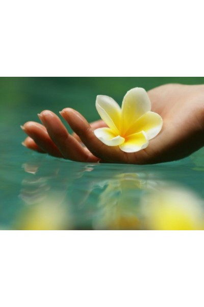 Магия красоты и привлекательности. Софья Ансари