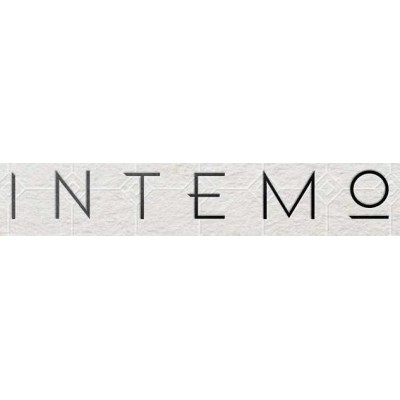 Галлюцинации успеха. Марина Муравьева Intemo