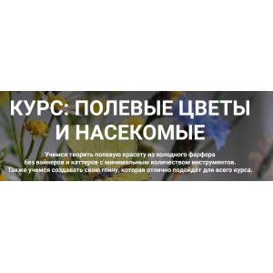 Полевые цветы и насекомые. Тариф Базовый. Любовь Мирошниченко Liubov Miro Clay School