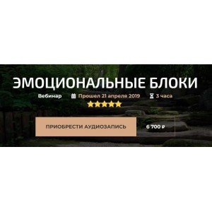Вебинар «Эмоциональные блоки». Александр Палиенко