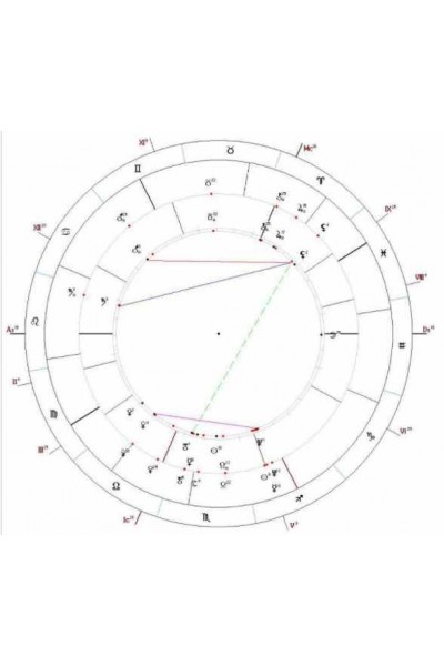 Прогнозирование брака с помощью перинатальных затмений. Татьяна Волкова