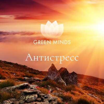 Нейромедитация Green Minds. Антистресс. Алексей Ситников