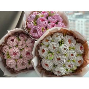 Весна с Еленой Поповой 2024. Тариф Стандарт. Елена Попова elenapo11