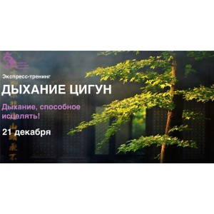 Дыхание цигун. Владимир Осипов