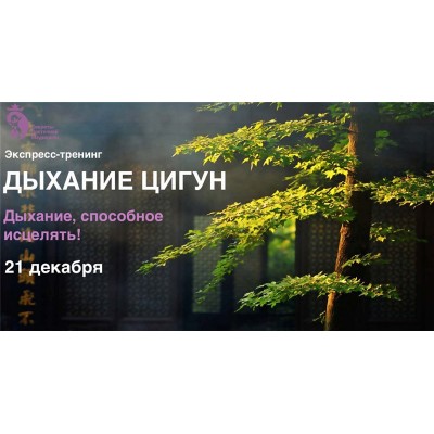 Дыхание цигун. Владимир Осипов