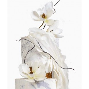 Текстуры NEW. Тариф Базовый. Инна Питерова Текстуры NEW. Тариф Базовый. Инна Питерова