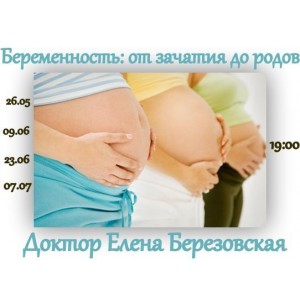 Запись цикла вебинаров «Беременность: от зачатия до родов». Елена Березовская Запись цикла вебинаров «Беременность: от зачатия до родов». Елена Березовская