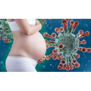 Беременность, иммунитет и инфекции. Елена Березовская Беременность, иммунитет и инфекции. Елена Березовская