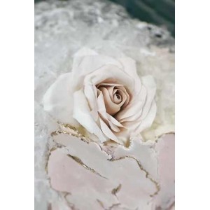 Роза классическая. Ольга Куликова