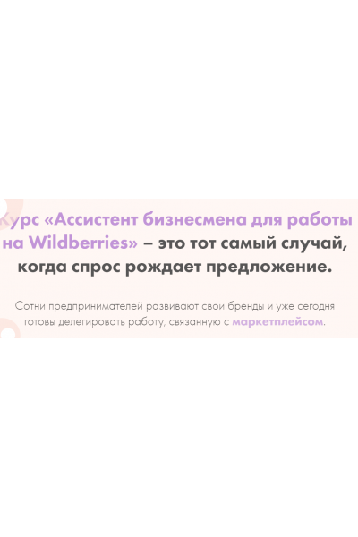 Ассистент бизнесмена для работы на Wildberries. Тариф Самостоятельный. Анастасия Якушева