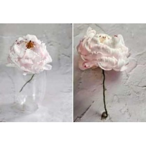 Вафельный пион. Ольга Куликова @kulik_ova Вафельный пион. Ольга Куликова @kulik_ova