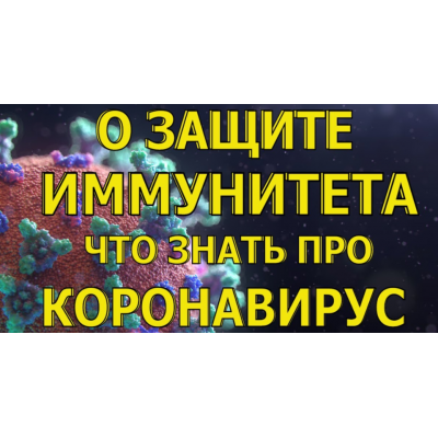 Здоровая иммунная система. Елена Бахтина