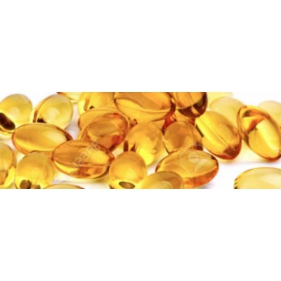 Жиры в вашем теле и вашей тарелке: техника безопасности. Елена Бахтина