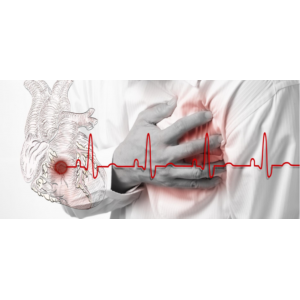 Азбука здоровья сердечно-сосудистой системы. Елена Бахтина