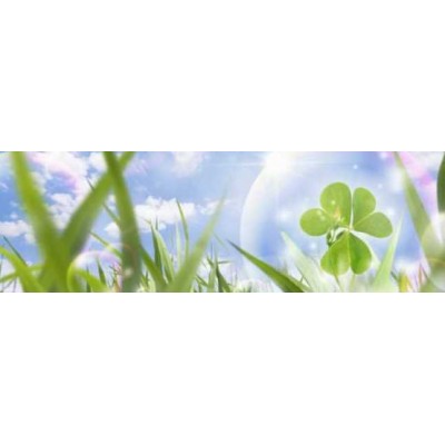 Мастер-класс по системам очищения организма. Елена Бахтина