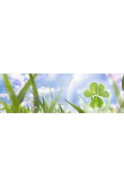 Мастер-класс по системам очищения организма. Елена Бахтина