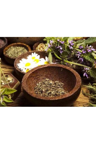 Научная магия трав. Женское исцеление силой природы. Елена Бахтина