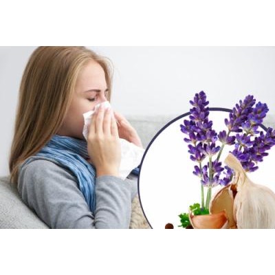 StopПростуда: как повысить иммунитет. Маргарита Левченко