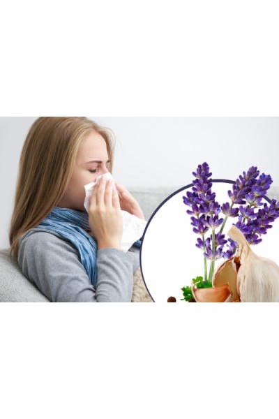 StopПростуда: как повысить иммунитет. Маргарита Левченко