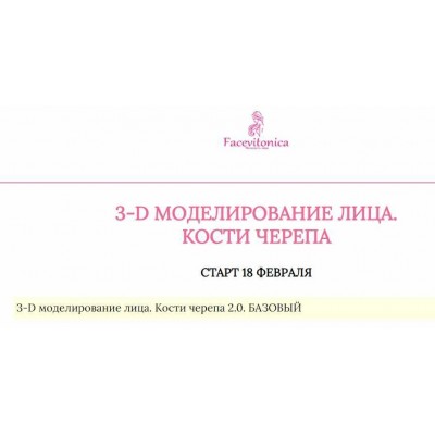 3Д Моделирование лица. Кости черепа. Инна Алферова  Facevitonica