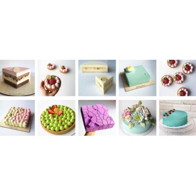 Современные муссовые торты. Пакет VIP. Александра Овешкова Cake Pro