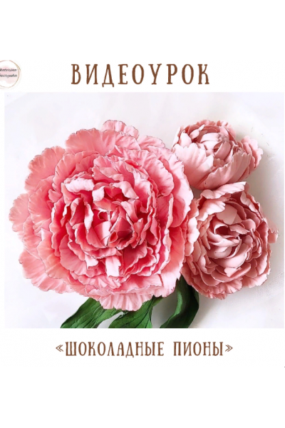 Видеоурок «Шоколадные пионы». Екатерина Завирюха