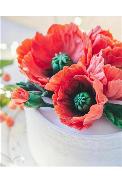 Шоколадные маки. Екатерина Завирюха