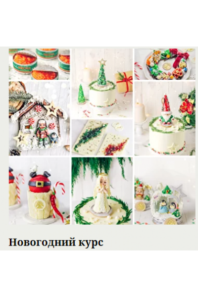 Новогодний курс. Екатерина Завирюха