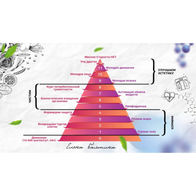 Старости нет. 12 привычек молодого человека. 0 Ступень. Елена Бахтина