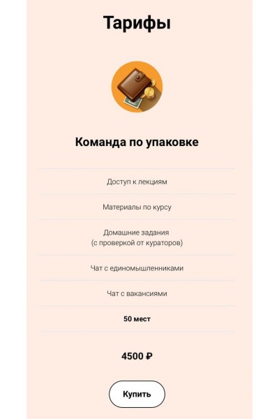 Заработок на инфопродуктах. Елизавета Гребенюк lievival